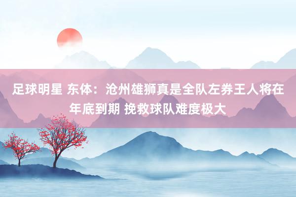 足球明星 东体：沧州雄狮真是全队左券王人将在年底到期 挽救球队难度极大