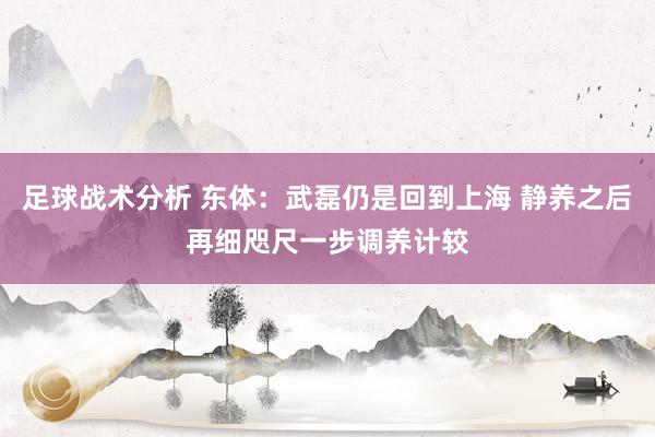 足球战术分析 东体：武磊仍是回到上海 静养之后再细咫尺一步调养计较