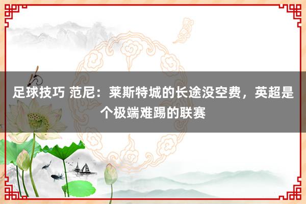 足球技巧 范尼：莱斯特城的长途没空费，英超是个极端难踢的联赛