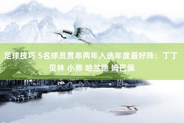 足球技巧 5名球员贯串两年入选年度最好阵：丁丁 贝林 小熊 哈兰德 姆巴佩